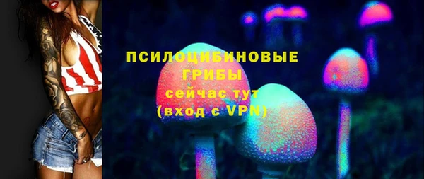 крисы Вяземский