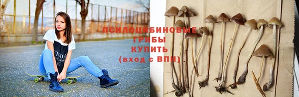 крисы Вяземский