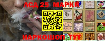 мяу мяу мука Тула
