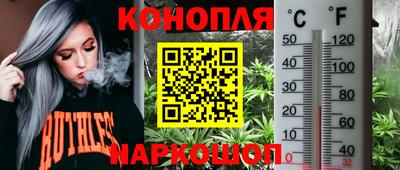 мяу мяу мука Тула
