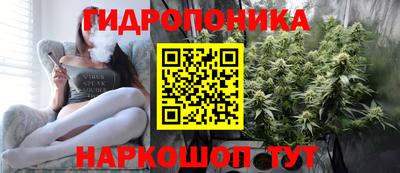 мяу мяу мука Тула