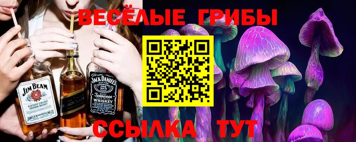 Мценск  Галлюциногенные грибы Magic Shrooms  Вход с VPN 
