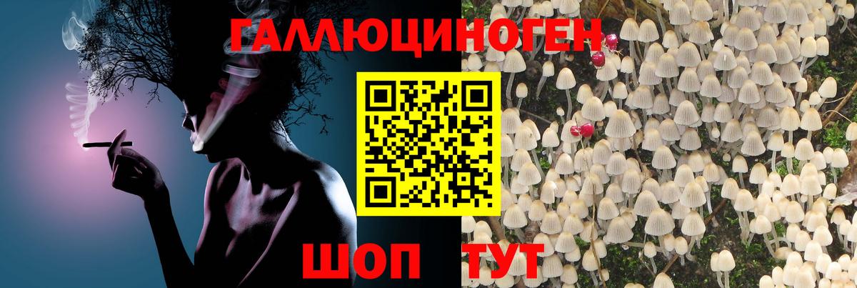 Галлюциногенные грибы MAGIC MUSHROOMS Мценск