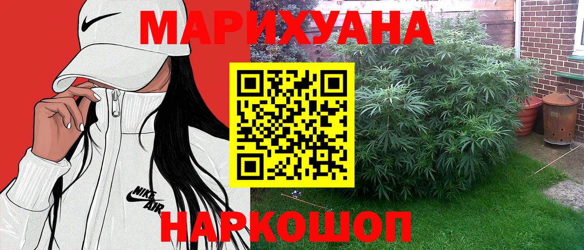 Конопля сатива Мценск